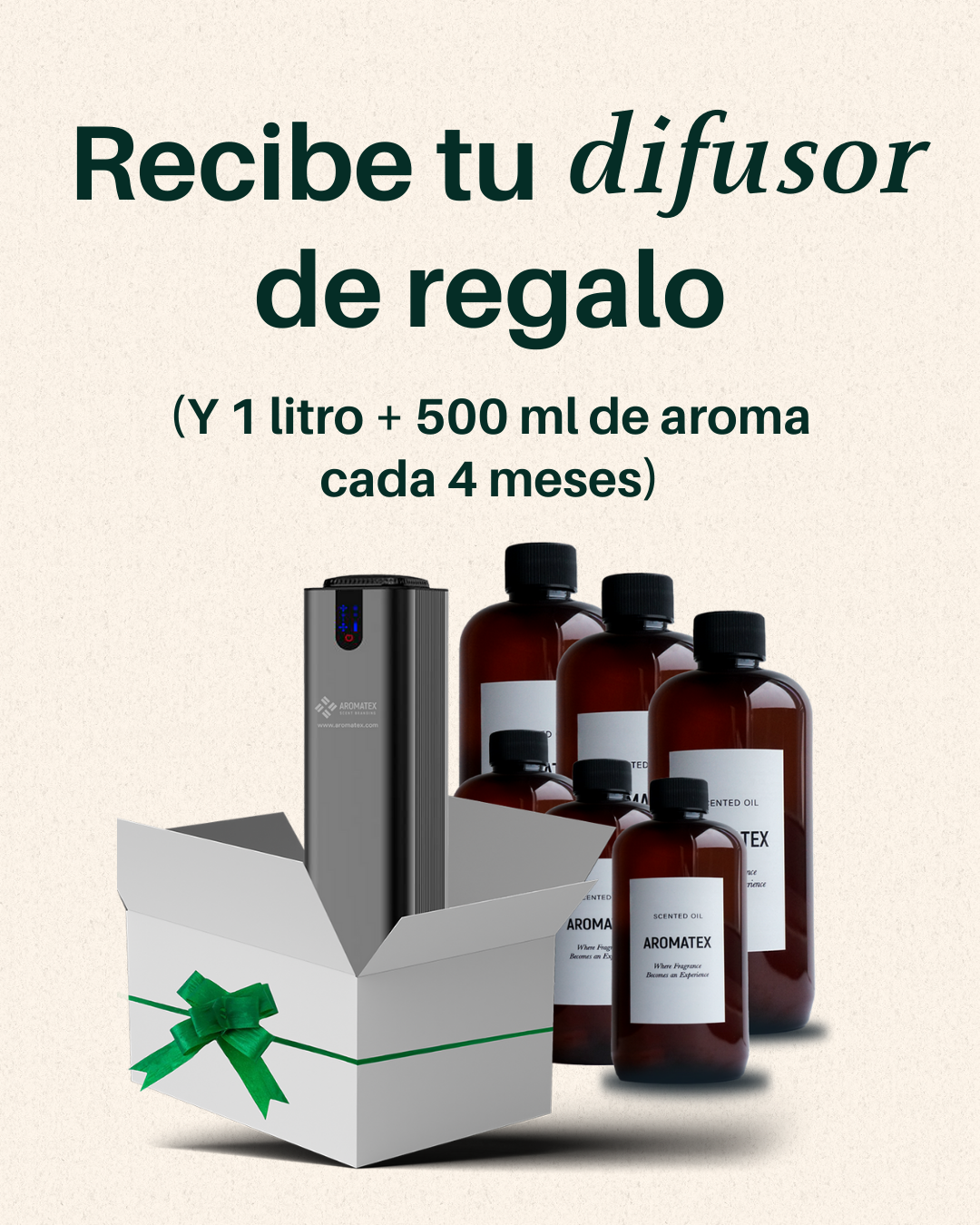 Plan Anual de Aroma Plus