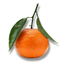 Mandarina